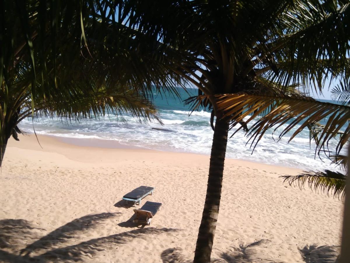 The Alpha Monkey Hotel & Tree House Tangalle Exterior foto
