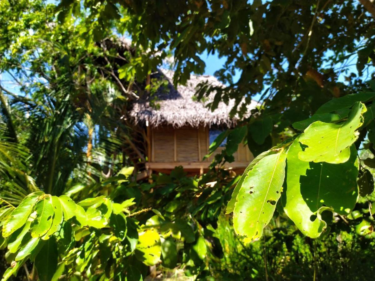 The Alpha Monkey Hotel & Tree House Tangalle Exterior foto