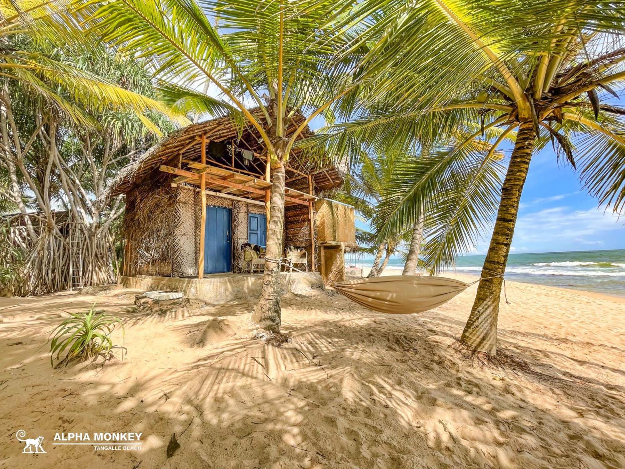 The Alpha Monkey Hotel & Tree House Tangalle Exterior foto