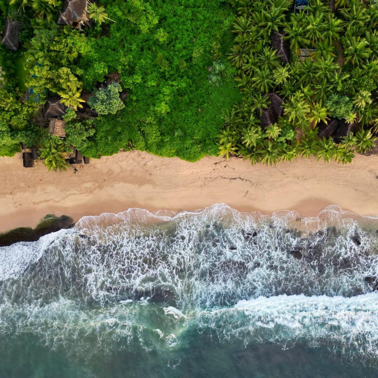The Alpha Monkey Hotel & Tree House Tangalle Exterior foto