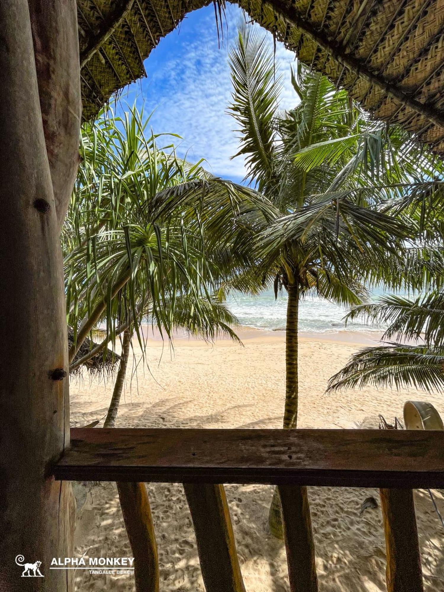 The Alpha Monkey Hotel & Tree House Tangalle Quarto foto