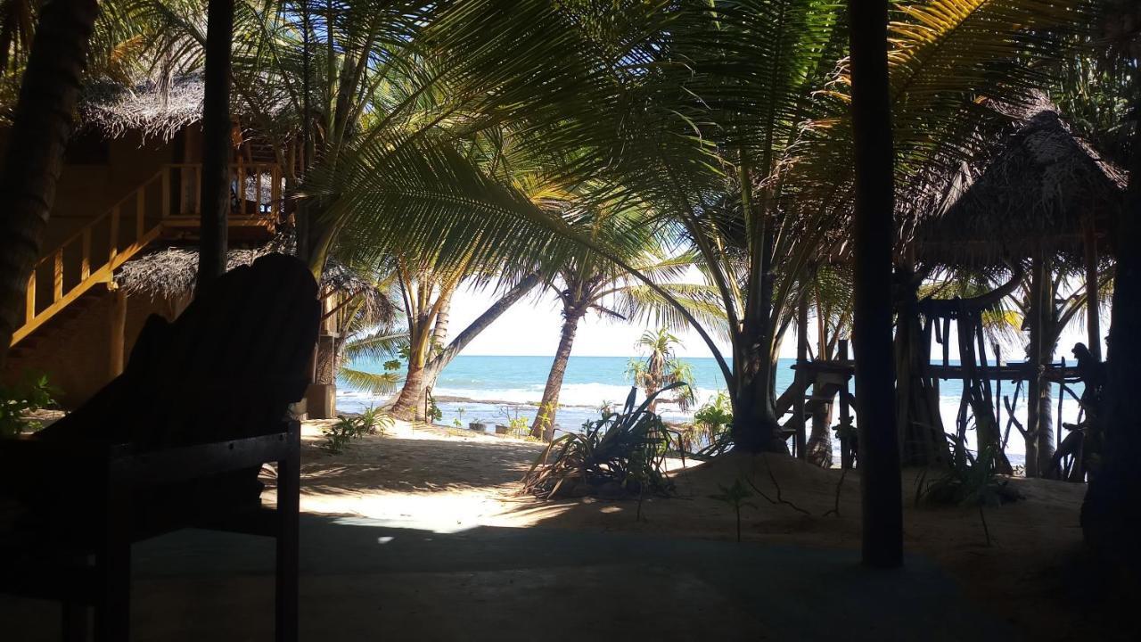 The Alpha Monkey Hotel & Tree House Tangalle Exterior foto
